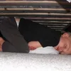 bayi, foto bayi, foto lemu, foto unik