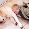 bayi, foto bayi, foto lemu, foto unik