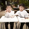 Mikhael dan Raphael Moeis