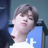 Kang Daniel