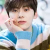 Idol K-Pop Line \&#039;95 Bakal Wamil
