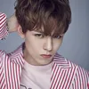 Vernon SEVENTEEN