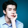 idol with golden ratio