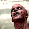 10 Music Video Paling Seram