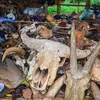 makanan aneh, makanan unik, makanan dari seluruh dunia