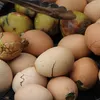 makanan aneh, makanan unik, makanan dari seluruh dunia