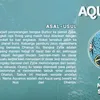 Meme Aquanus