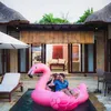 seleb di kolam renang, seleb indonesia berenang