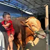 Idul Adha Anak Artis