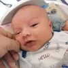 Ammar Zoni dan Irish Bella