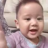 baby athar belajar merangkak kucing sphynx