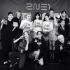 Bintang Korea Nonton Konser 2ne1