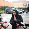 Chua kotak