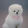 Dda Dda anjing peliharaan Kim Wooseok