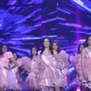 Miss Celebrity