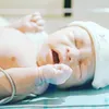 Gemasnya Baby Adzam Anak Nathalie Holscher
