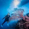 Gisella Anastasia Diving