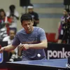 Pingpong Vindes