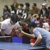 Pingpong Vindes