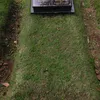 makam selebriti, kondisi makam selebriti, potret makam selebriti
