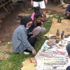 lesti billar liburan di sumba