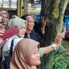 Mandra