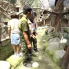 mini zoo sukandi ong henny pangadjadja