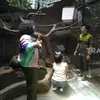 mini zoo sukandi ong henny pangadjadja