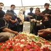 Pemakaman Aminah Cendrakasih 