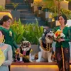 Jojo dan Luna