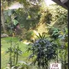 Rumah Laudya Cynthia Bella