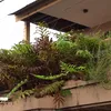 Rumah Masa Kecil Nikita Mirzani