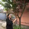 Rumah Masa Kecil Nikita Mirzani