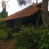 Rumah Asmuni Srimulat Terbengkalai