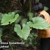 Rumah Sisca Soewitomo