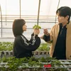 Spill Scene drama Korea terbaru UNWRITTEN SEOUL