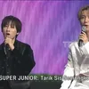 super junior kata indonesia transmedia