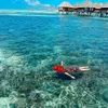 Tasya Farasya Liburan ke Maldives
