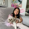 Ulang Tahun Anjing Peliharaan Farah Quinn