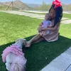 Ulang Tahun Anjing Peliharaan Farah Quinn