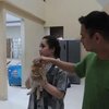 Raffi dan Nagita telah menyiapkan kado surprise untuk Rafathar yakni seekor kucing. Selain itu mereka juga sudah menyiapkan dua buah kue tart.