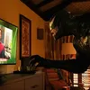 10 Film Blockbuster Hollywood 