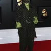 Red Carpet Grammy Awards 2020