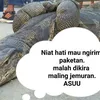 Meme Biawak Panjat Pagar