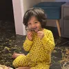 Arkana Anak Nikita Mirzani Bungsu