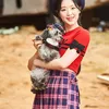 idol K-Pop dan peliharaan di kejuaraan anjing