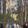 \&#039;pernikahan\&#039; Wulan Guritno