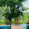 arie untung, rumah arie untung, berita arie untung