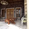 rumah mewah Aleta Molly