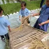 Claire Anak Shandy Aulia Rekreasi Sekolah